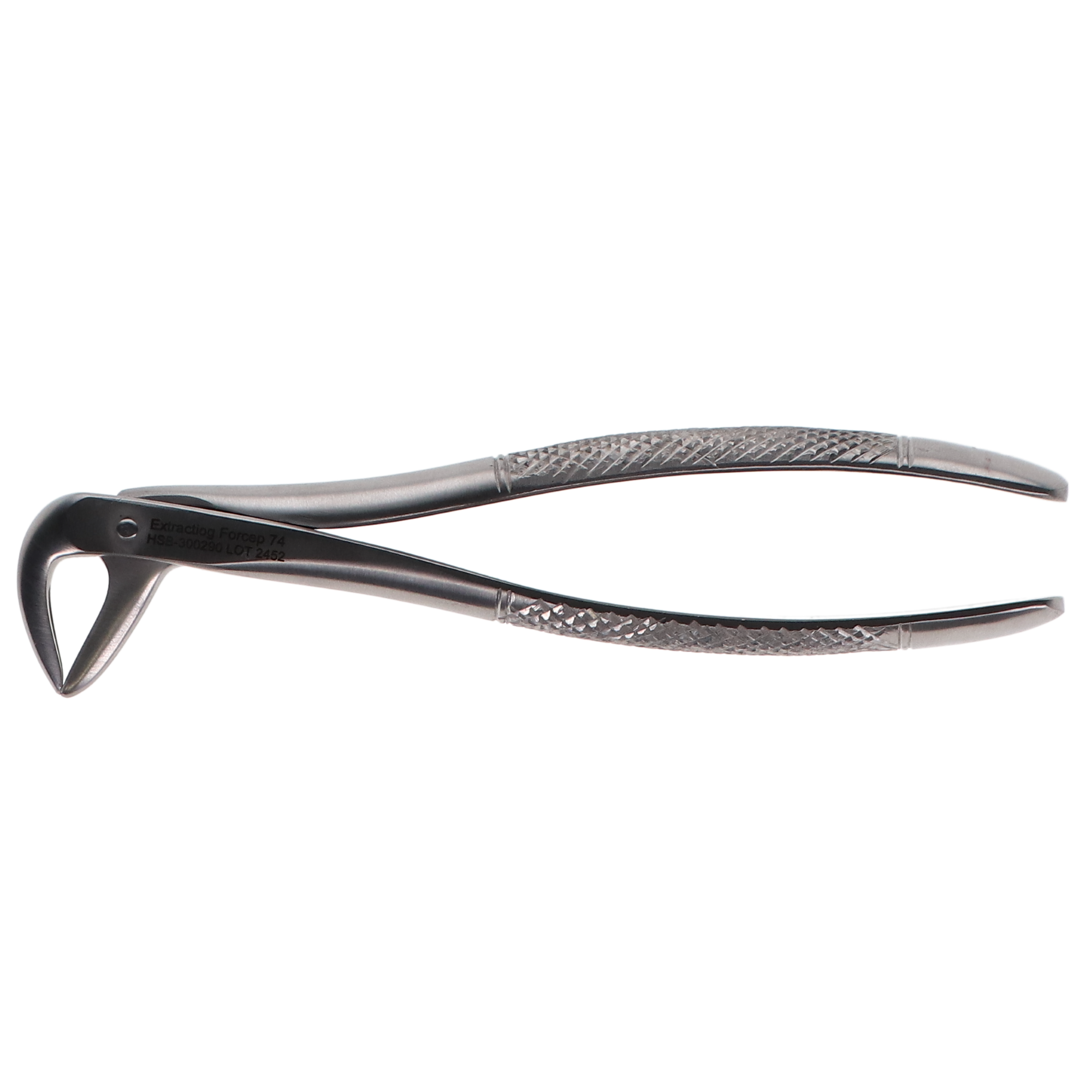 Extracting Forcep #74 English, 300290