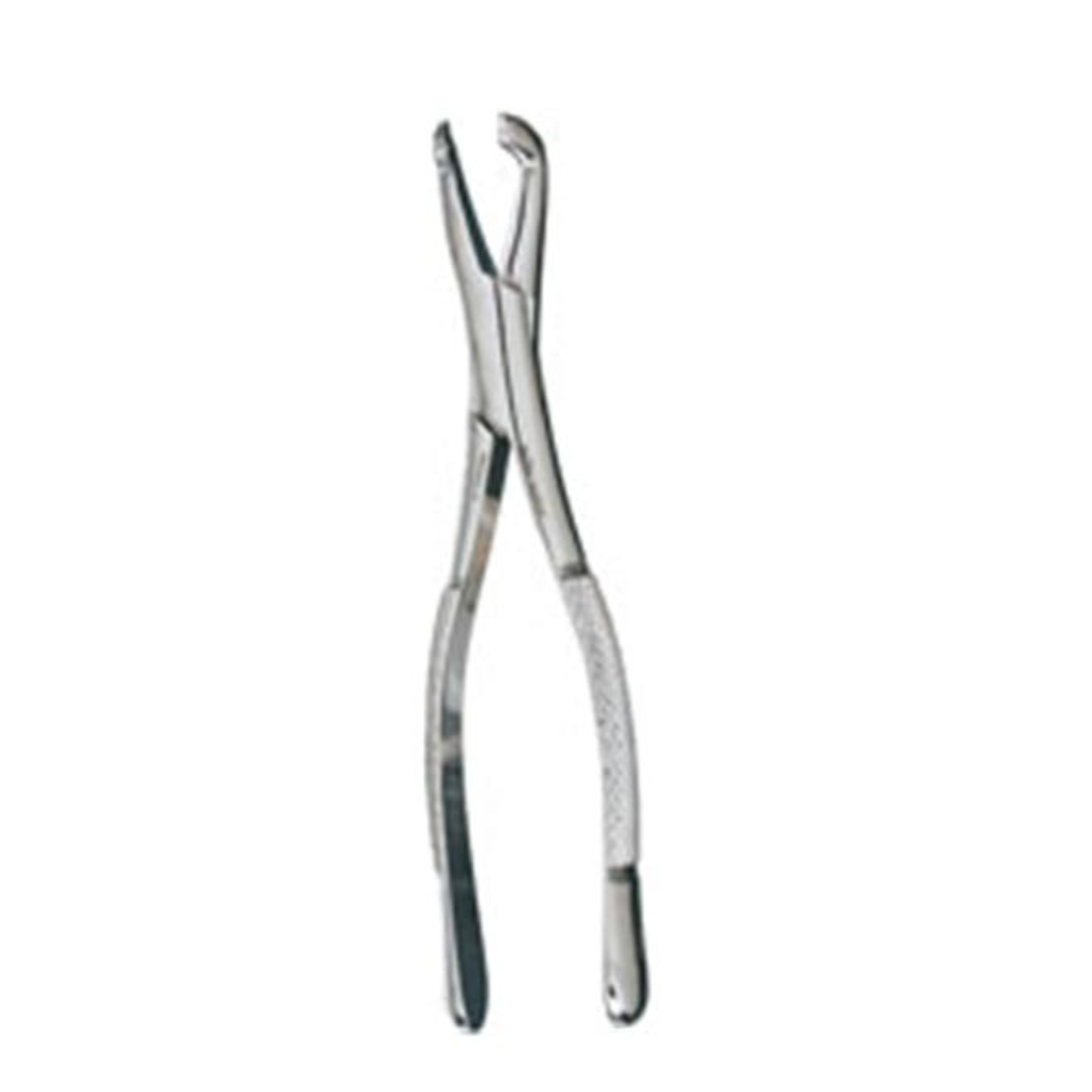 Extracting Forceps 222