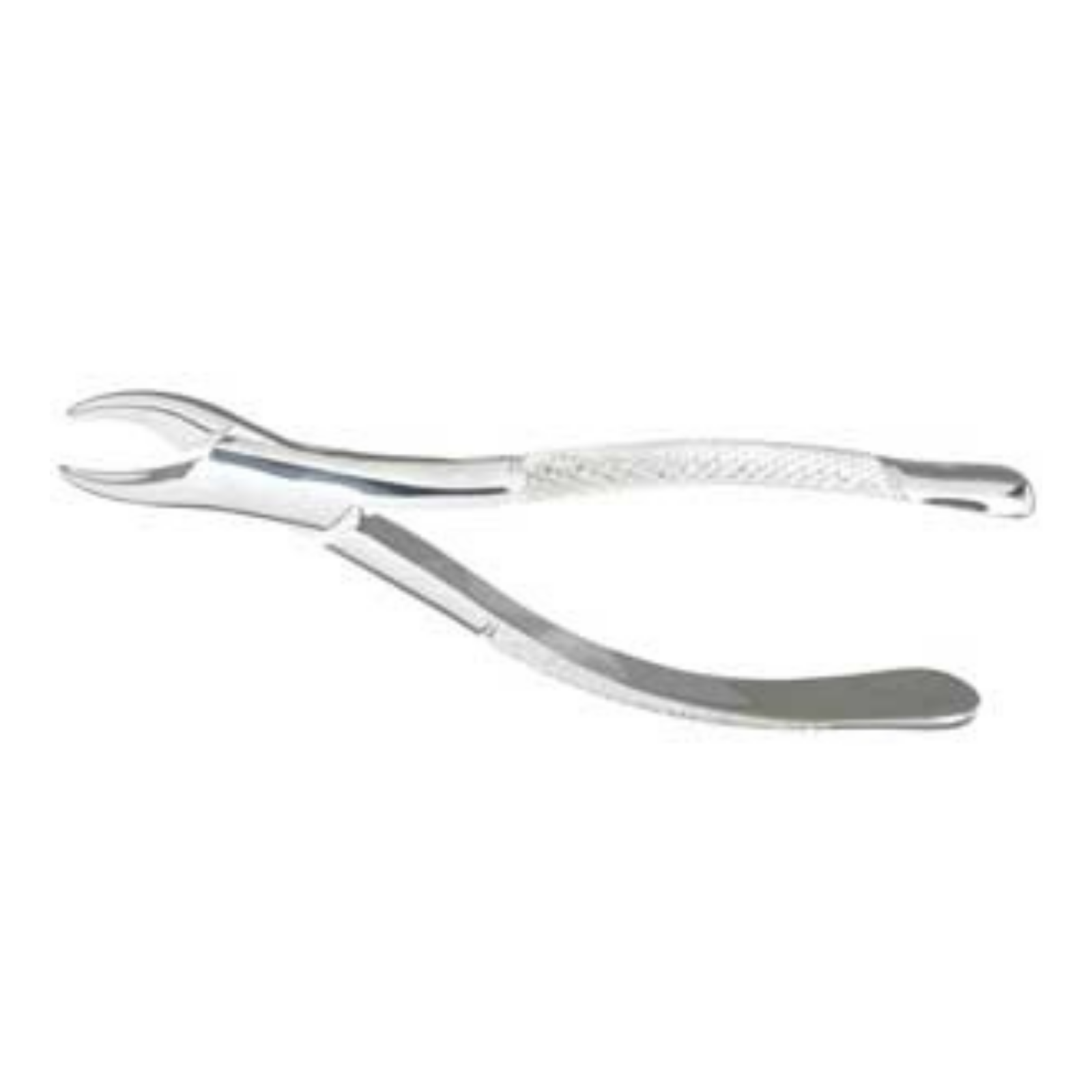 Extracting Forceps 62