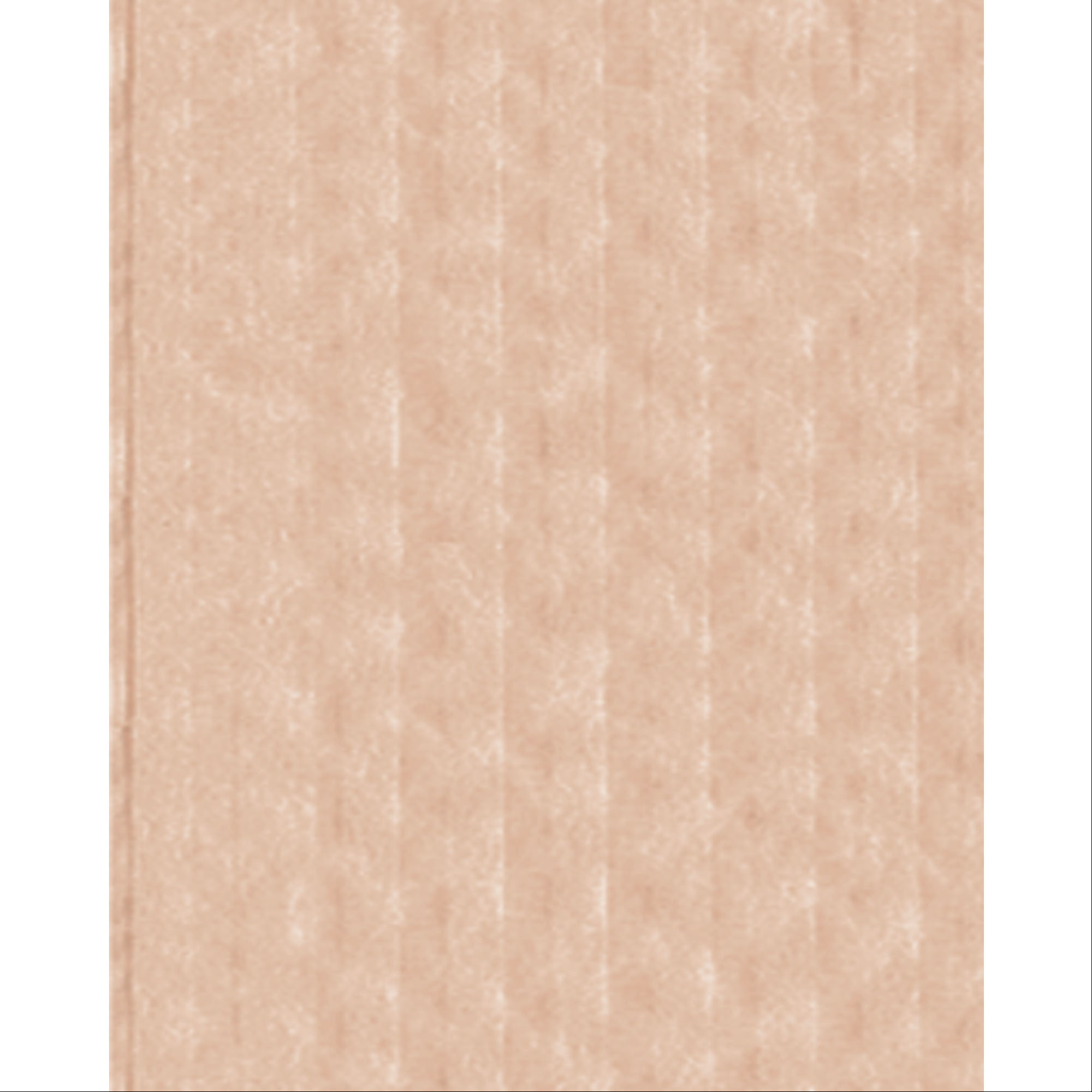 Crosstex - Advantage Bibs 2-Ply 13x18 500/Case Beige, WEXABG