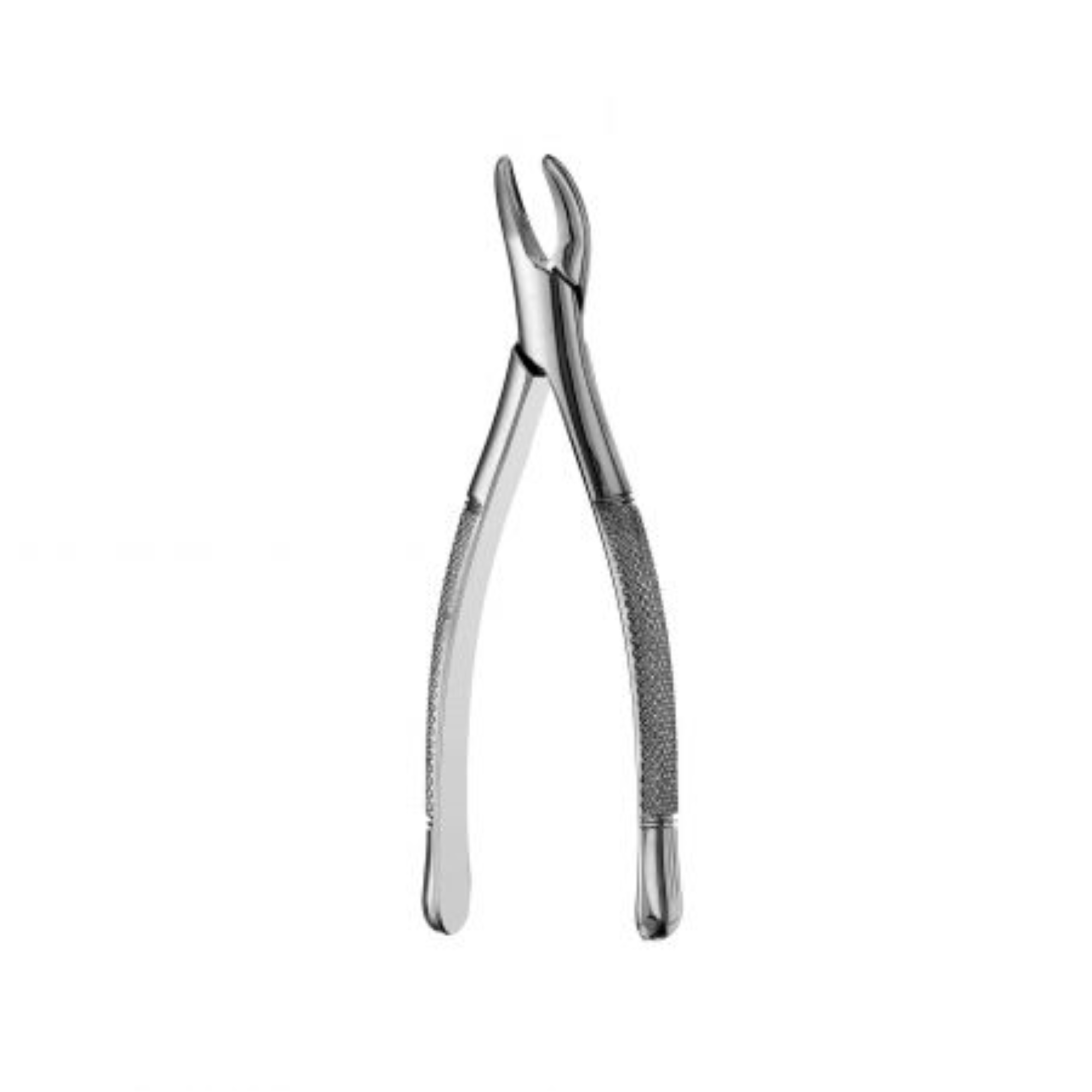 101 Hull Forceps, F101