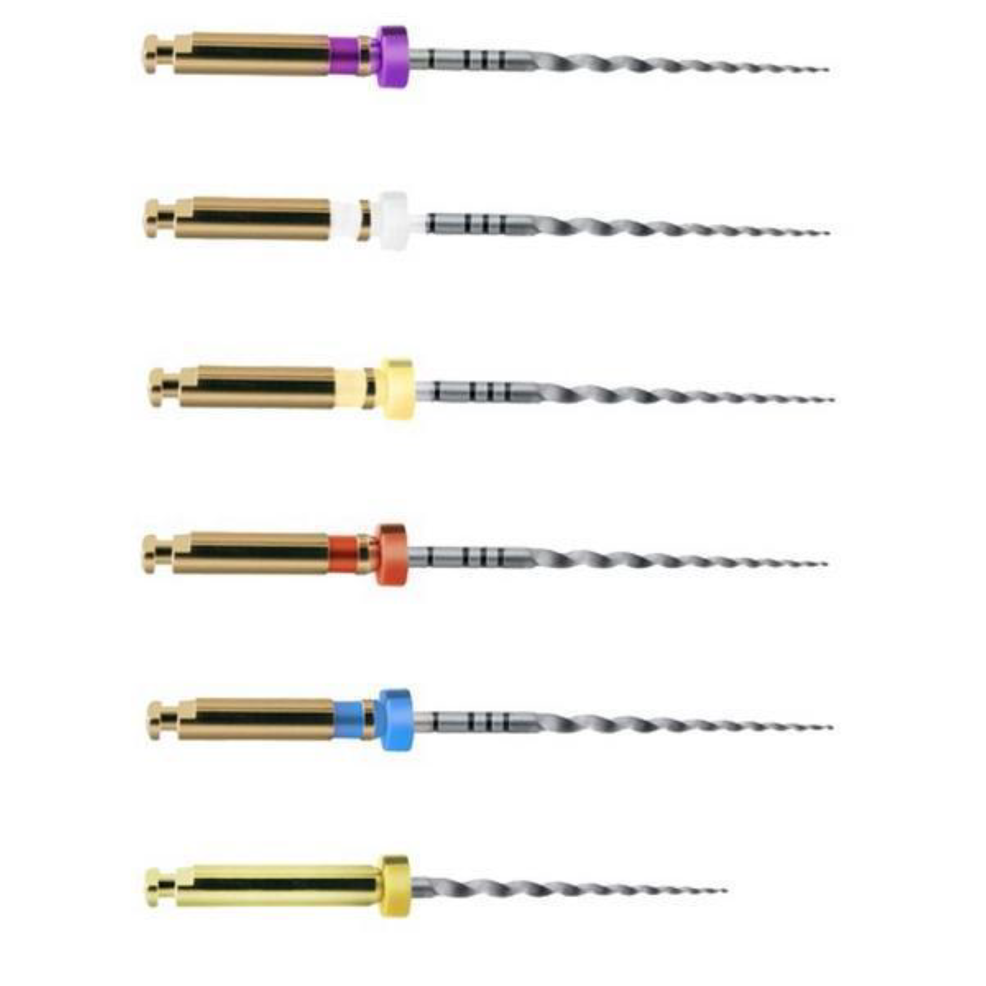 ProTaper Universal Rotary Files, 31 mm, Starter Pack, Assorted, 6/Pack