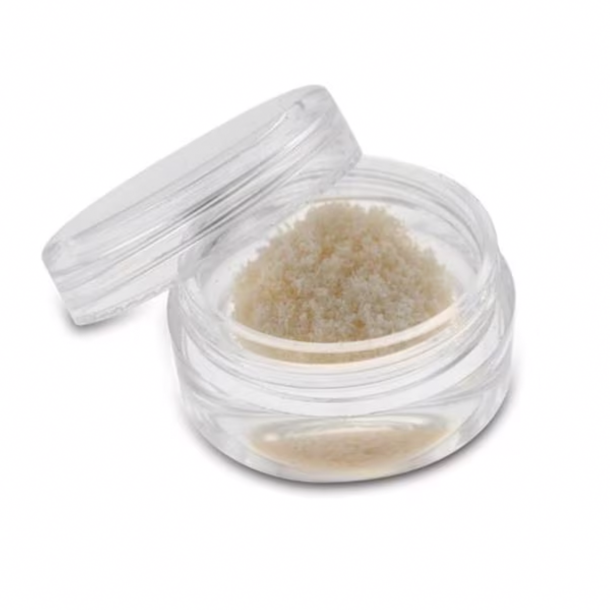 VeraGraft Demineralized Cortical Bone Powder 250-1000um .25cc