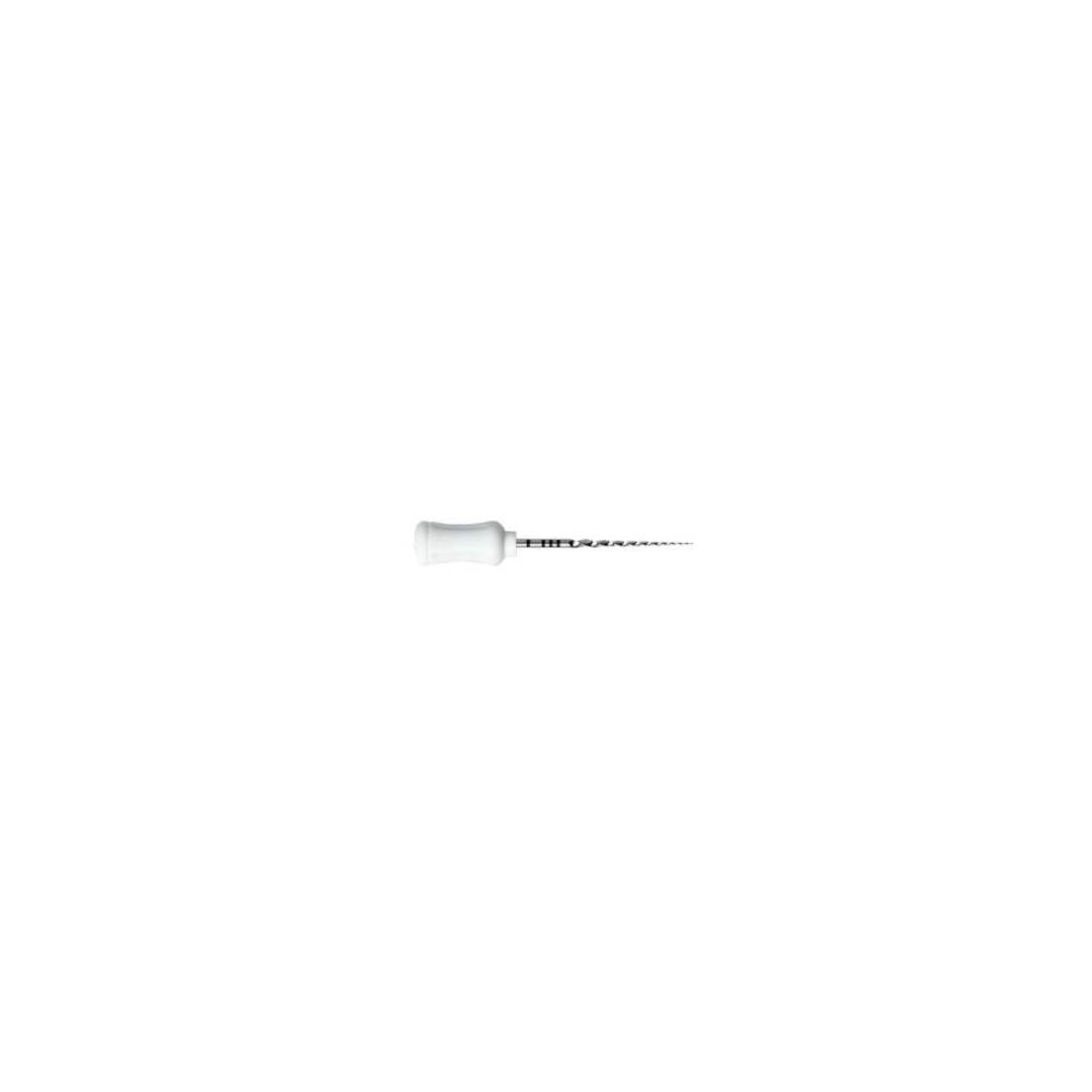 Dentsply ProTaper Hand Use, S2, 21mm, 6/Pk, (USA Code PTUHS221)