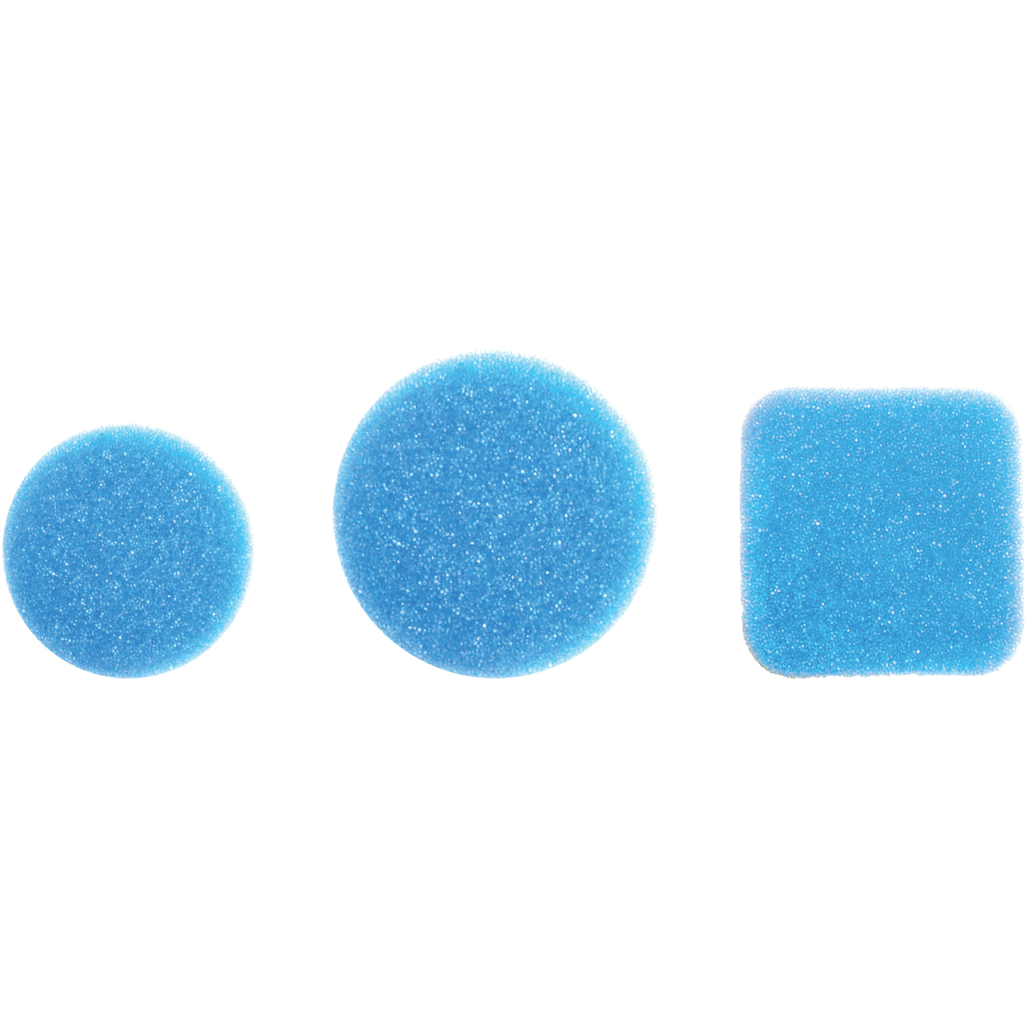 Pac-Dent Disposable Blue polyurethane Sponges for round endo stand, size 2