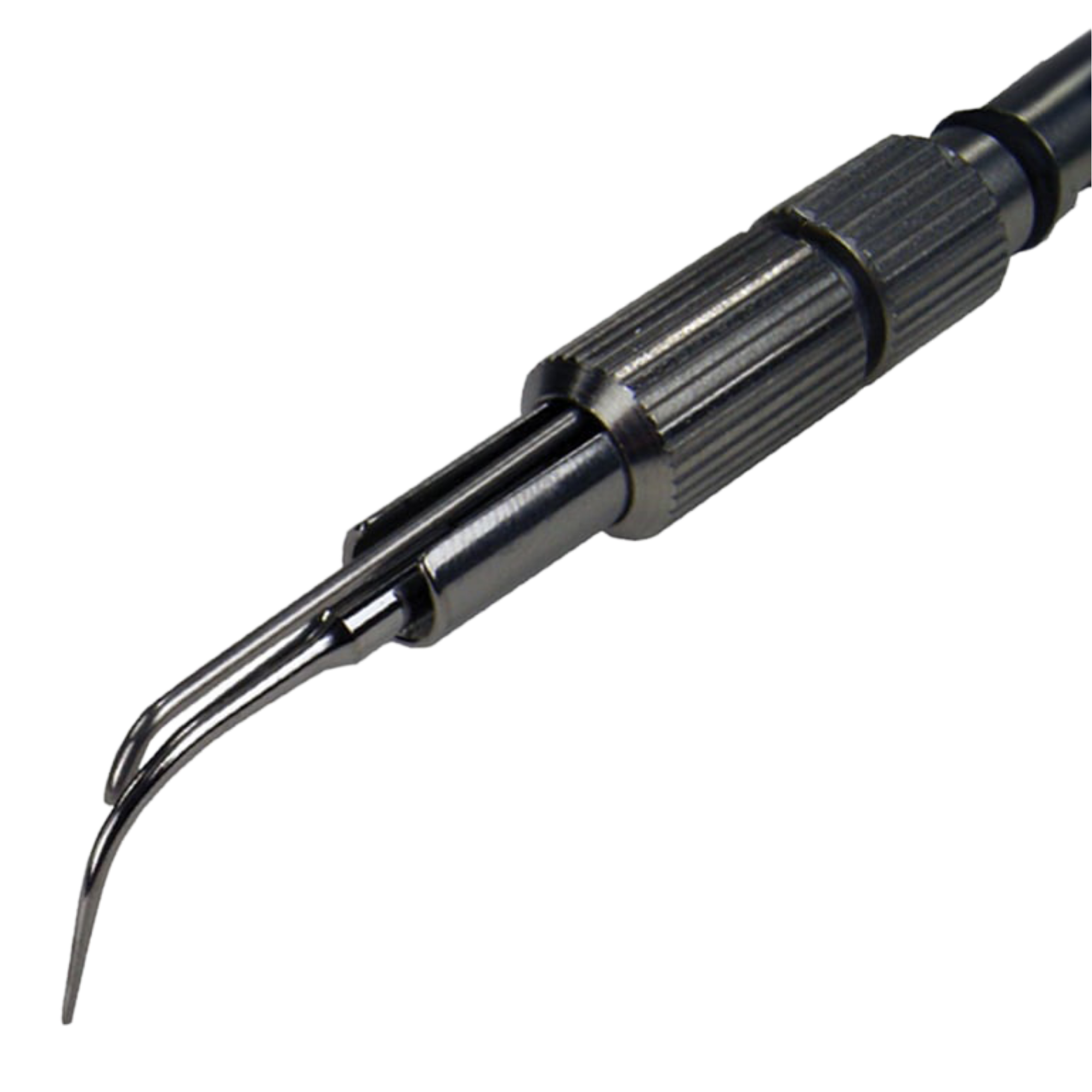 Bucky Beaver Insert - The 