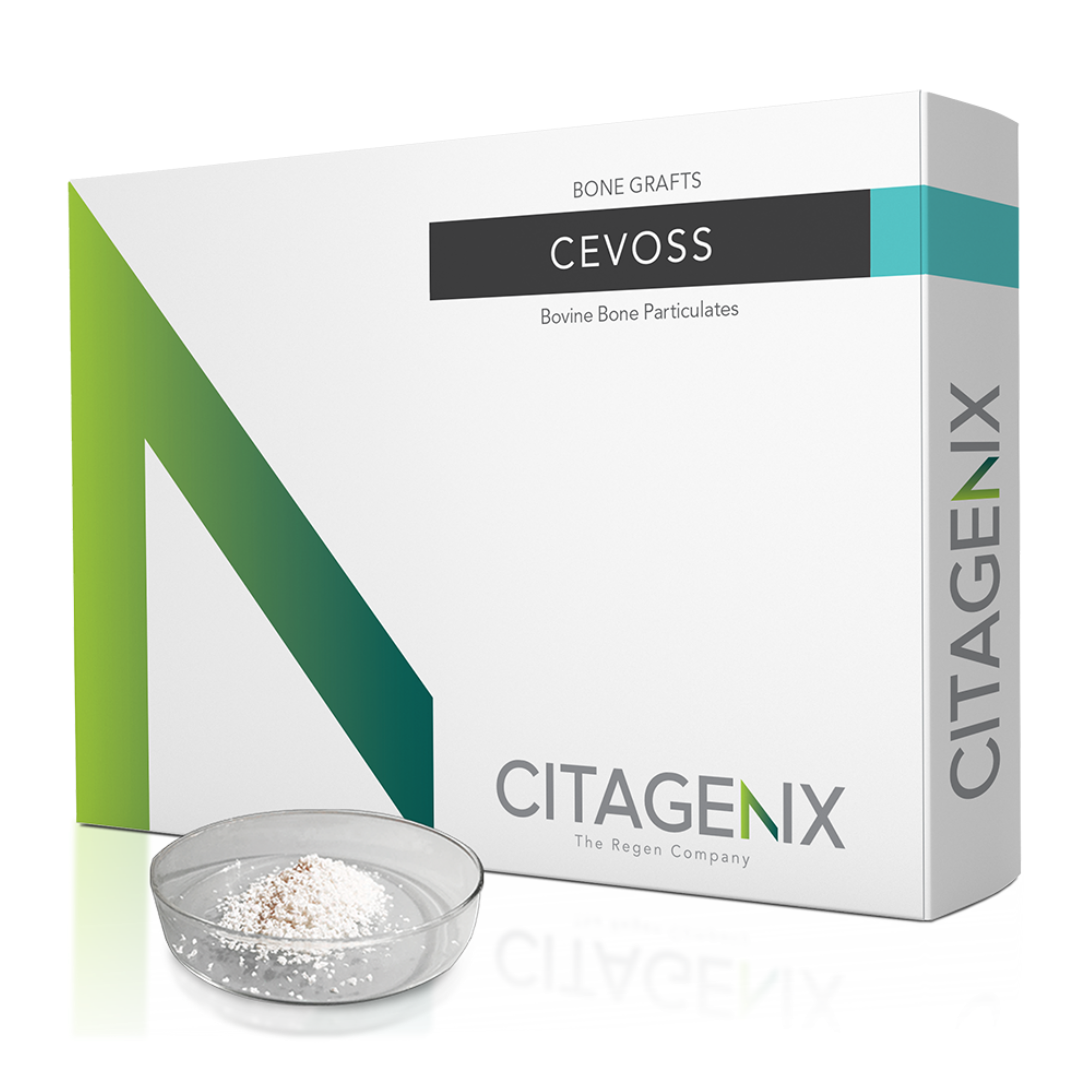 CevOss 1cc Bovine Bone Graft .25-1mm, 1 Vial/Box - CEV02-10