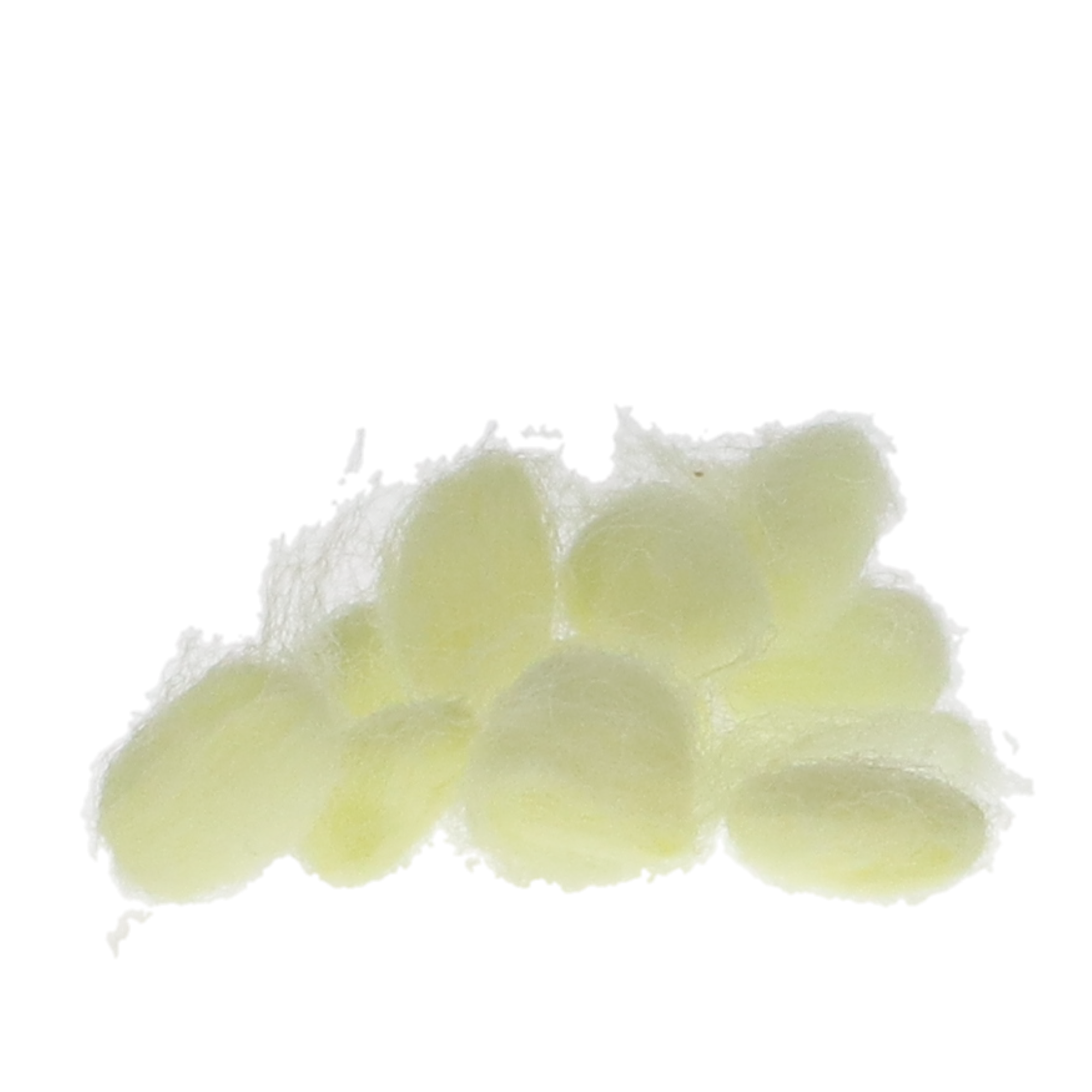 EpiDri Hemostatic Pellets, # 3, Yellow, 350/Pk