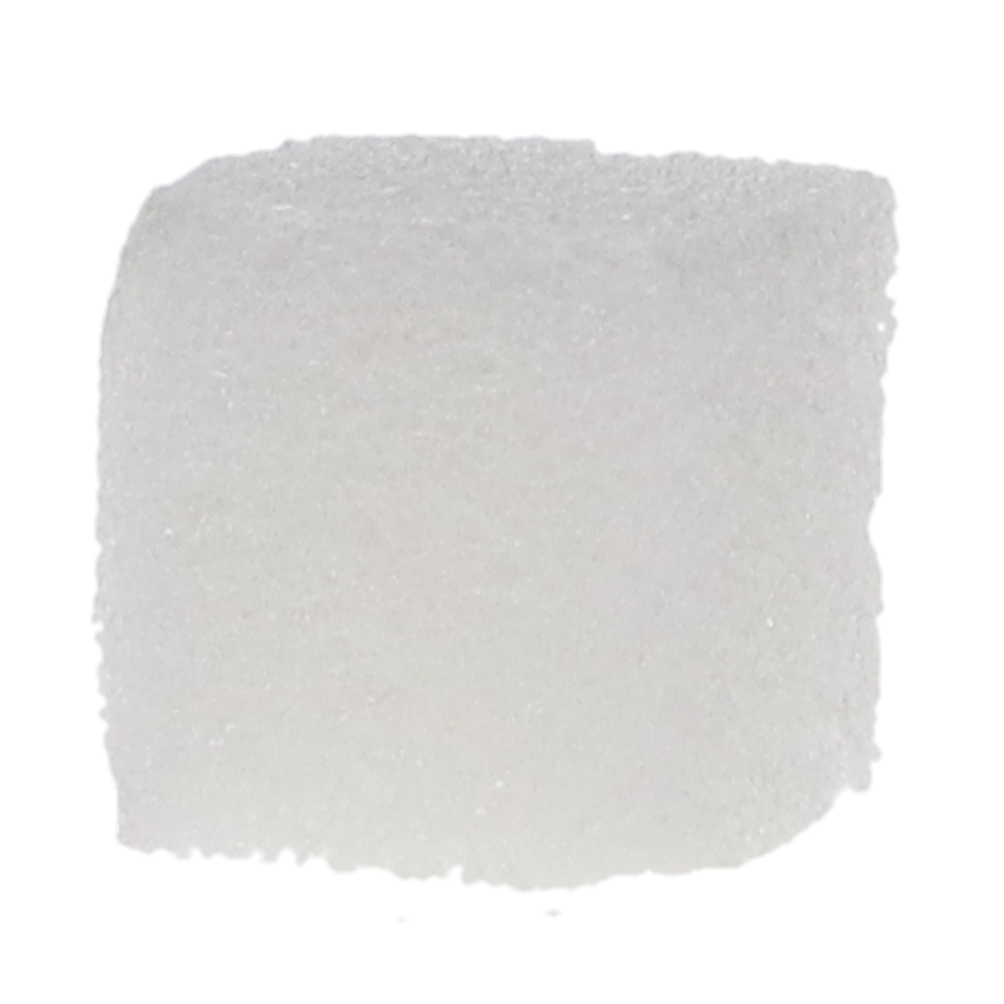 Spongostan Sponge, White, 24/Pk, MS0005