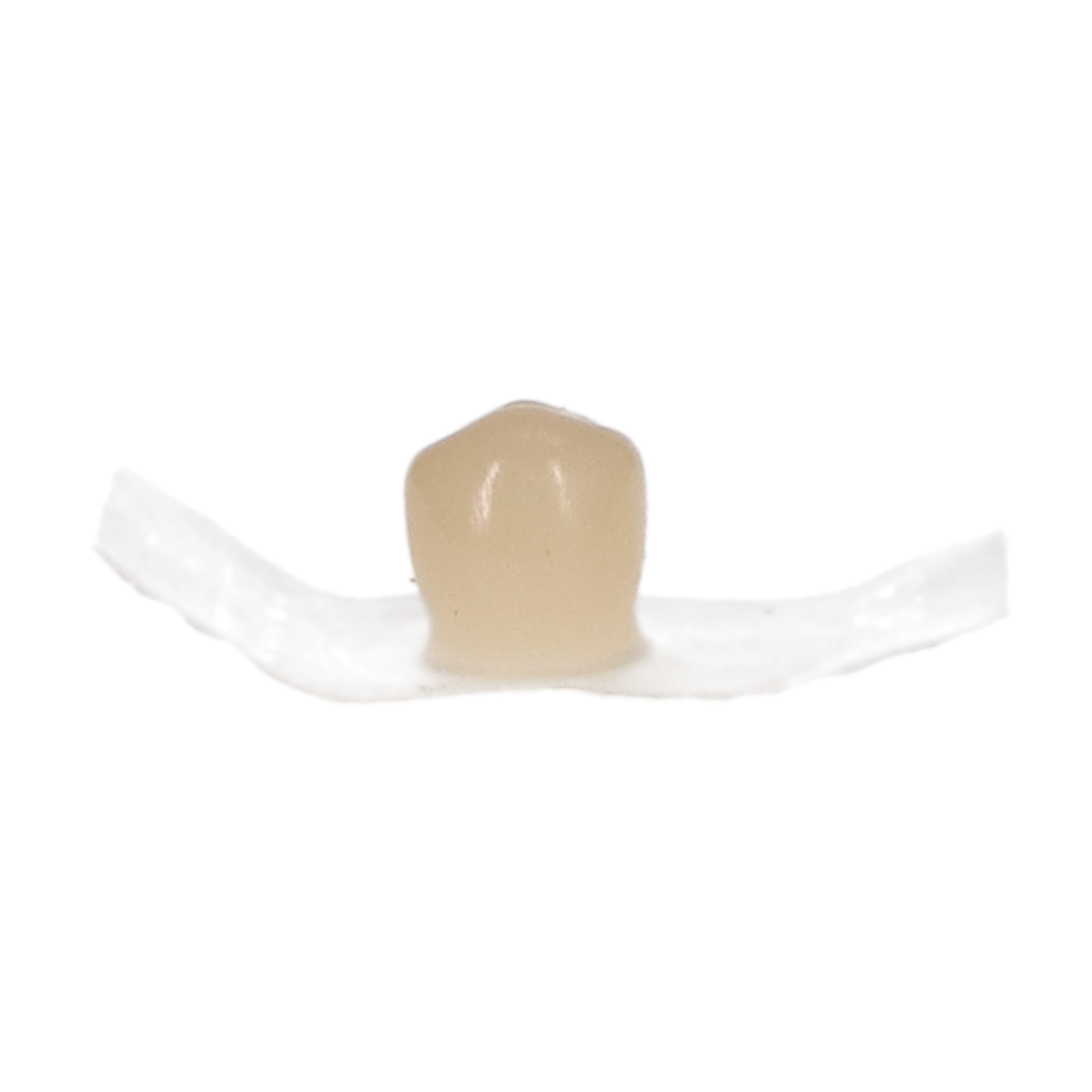 Protemp Crown Temporization Material, Adult, Refill, Lower Bicuspid, Universal Shade, 5/Pk