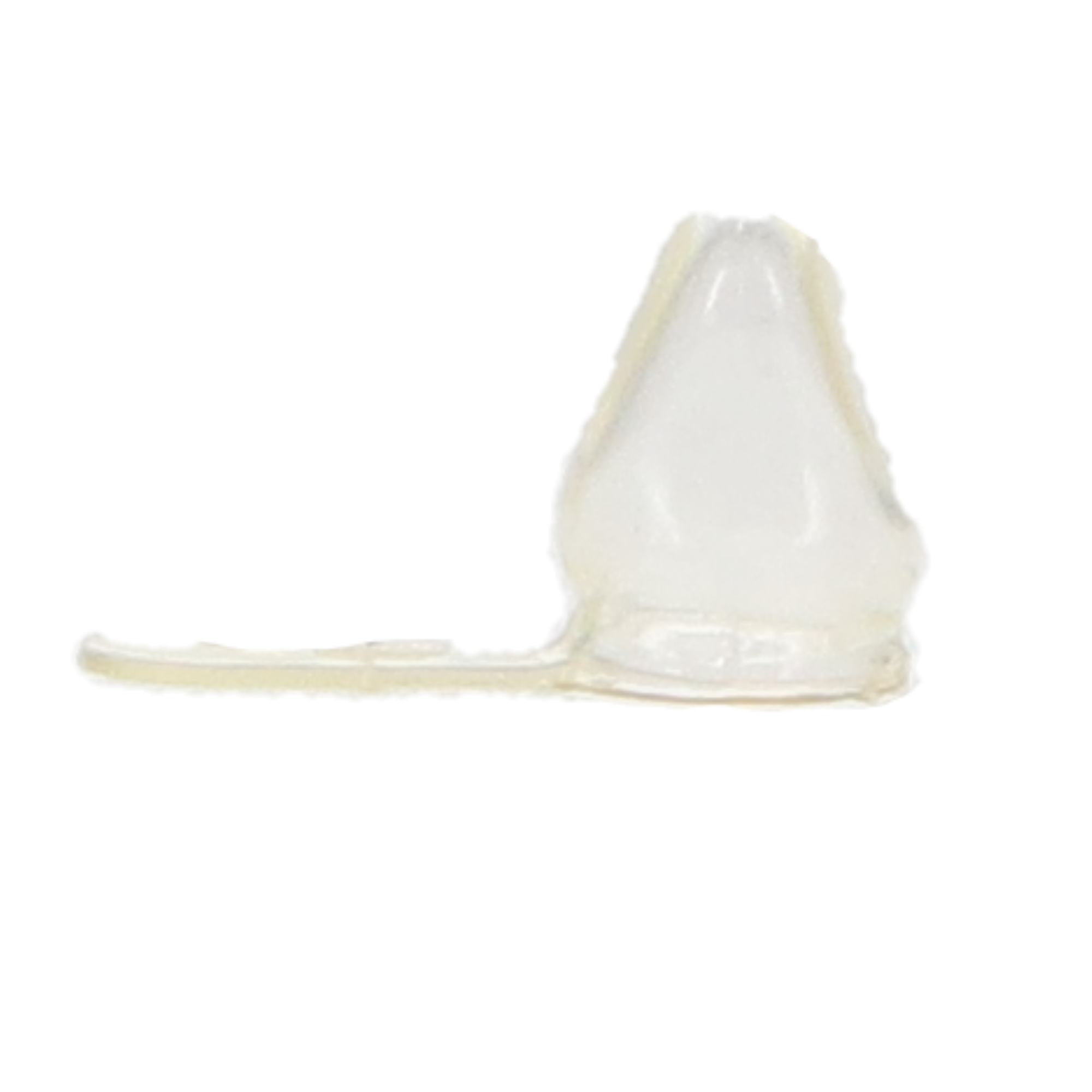 Unitek Pedodontic Strip Crown Forms, Primary Anterior, # 4 Lateral Upper Right, 5/Pk