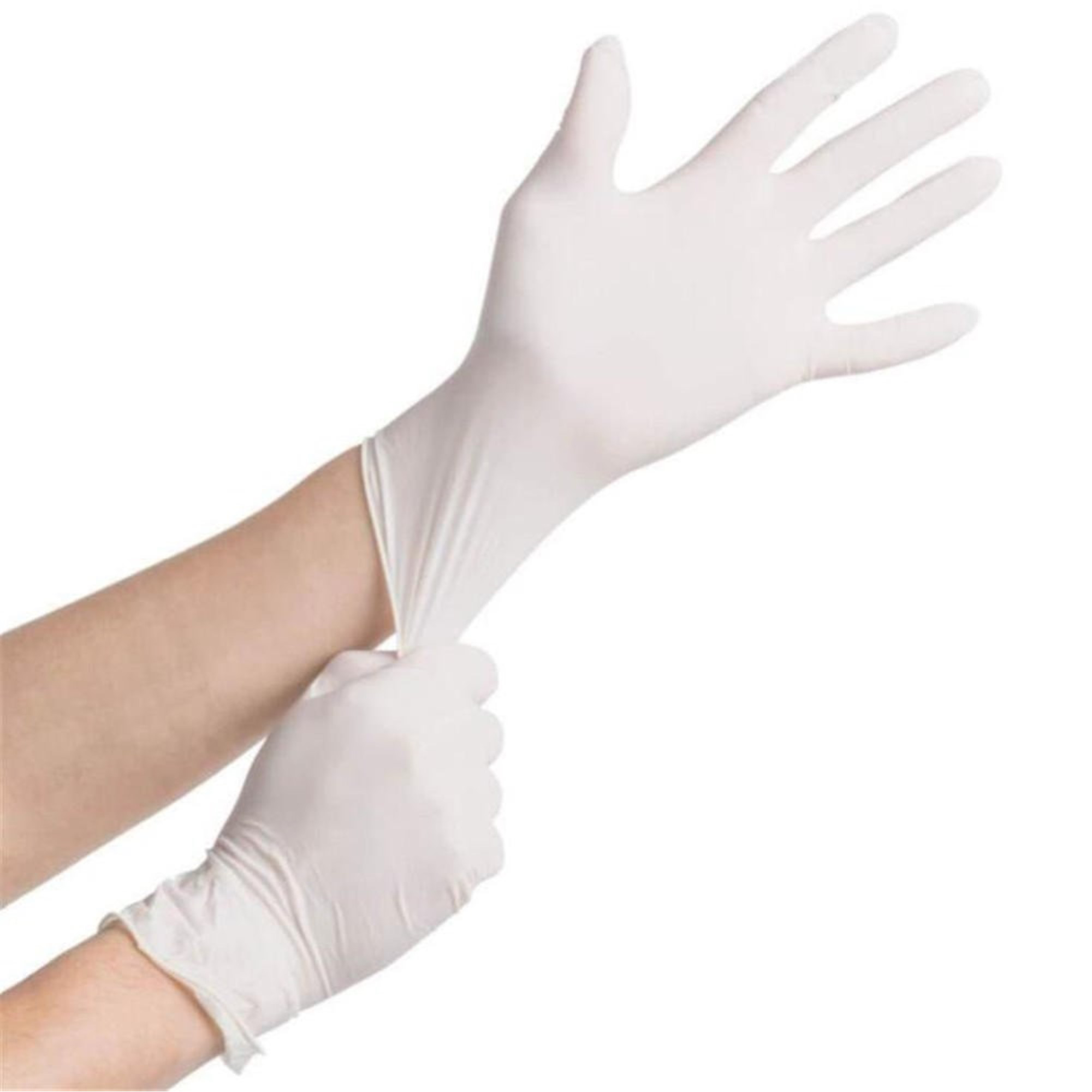 BeeSure PF Latex Glove XLarge 100/Bx