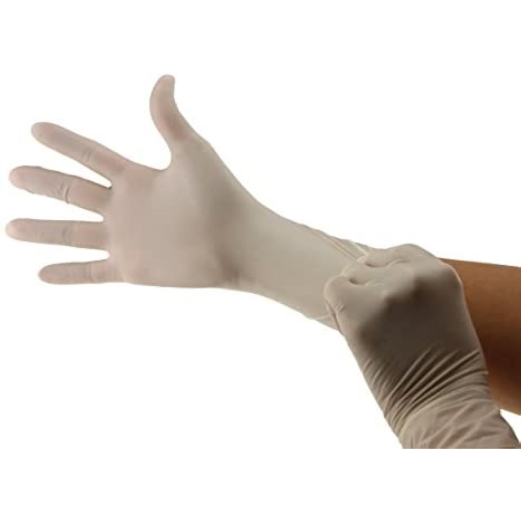 Cranberry Sigma PF Latex Glove Small 100/Bx