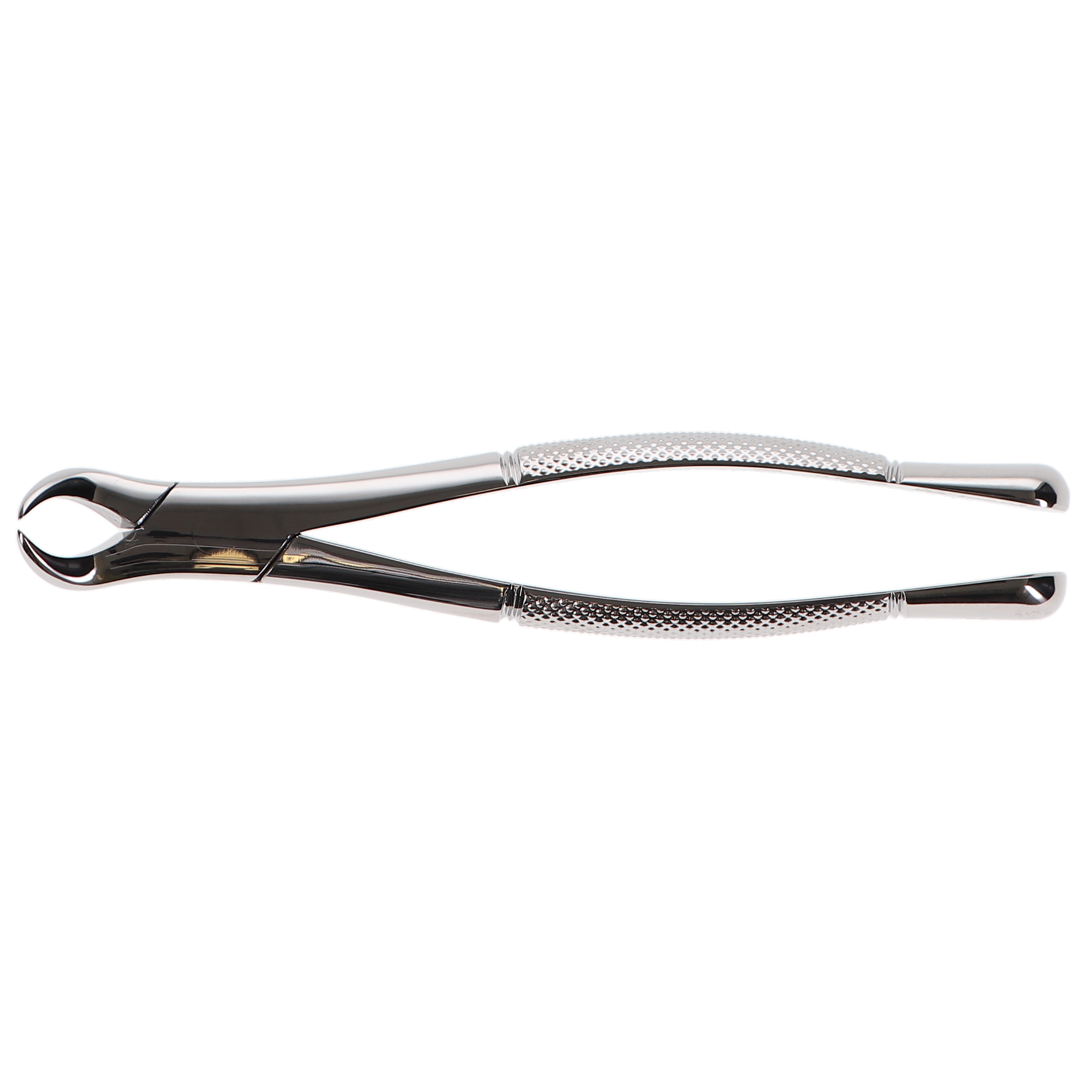 Extracting Forceps, Cowhorn, # 23, 1/Pk, F23