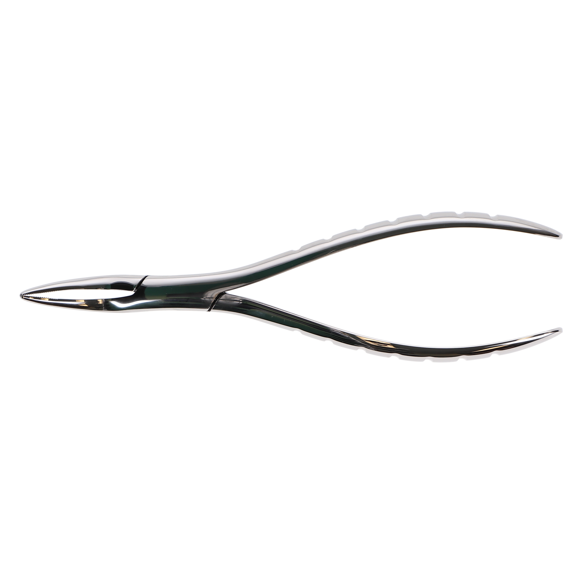 Presidental Root Forceps, Serrated, # 300, 1/Pk, F300