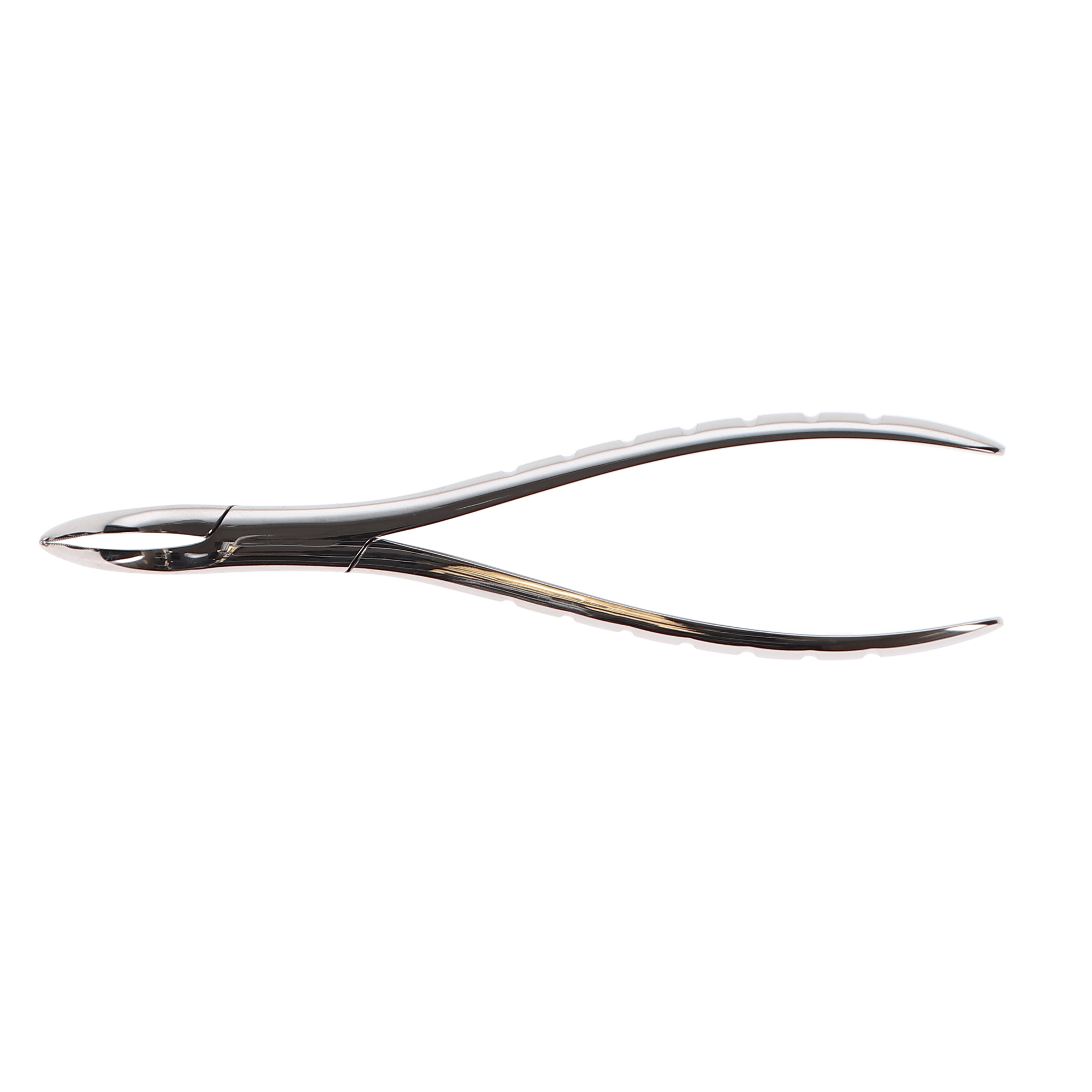 Presidental Root Forceps, Serrated, # 301, 1/Pk, F301