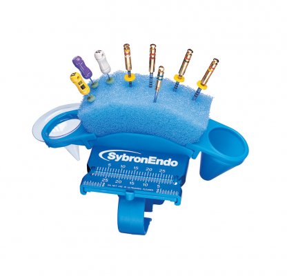 EndoRing Foam Inserts, Blue/Yellow, 48/Pk, 825-0050